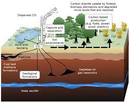 The truth about carbon capture technology