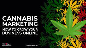 4 Marketing Tips To Help Grow Your Cannabis Business