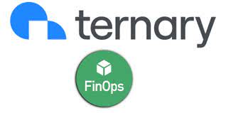 Ternary Announces New Platform Capabilities and More on First Anniversary