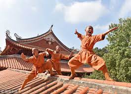 Shaolin Kung Fu Online Games set off world craze