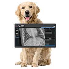 SignalPET and iM3 Announce a Reseller Partnership to Expand AI Radiology Technology to Australia and New Zealand
