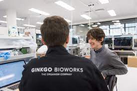 Phytolon and Ginkgo Bioworks Collaborate to Take Biological Production