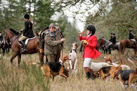 Fairfield County Hunt Club Hires Mario DiPreta as New General Manager for New England’s Premier Equestrian Country Club