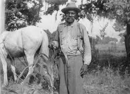 Author Mike Schmidke’s New Book ‘Jennie the Plow Horse Has a Dream’